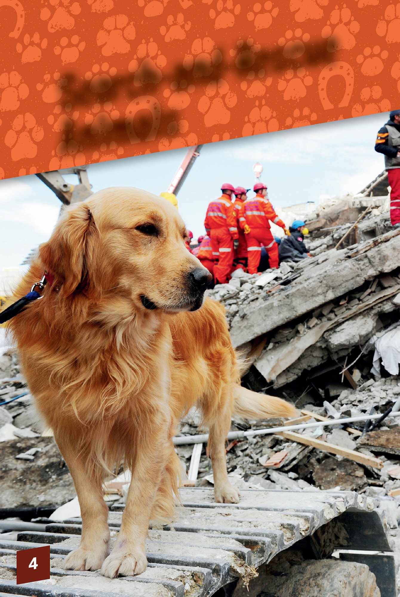 Search-and-Rescue Animals Search-and-rescue animals do important work - photo 6