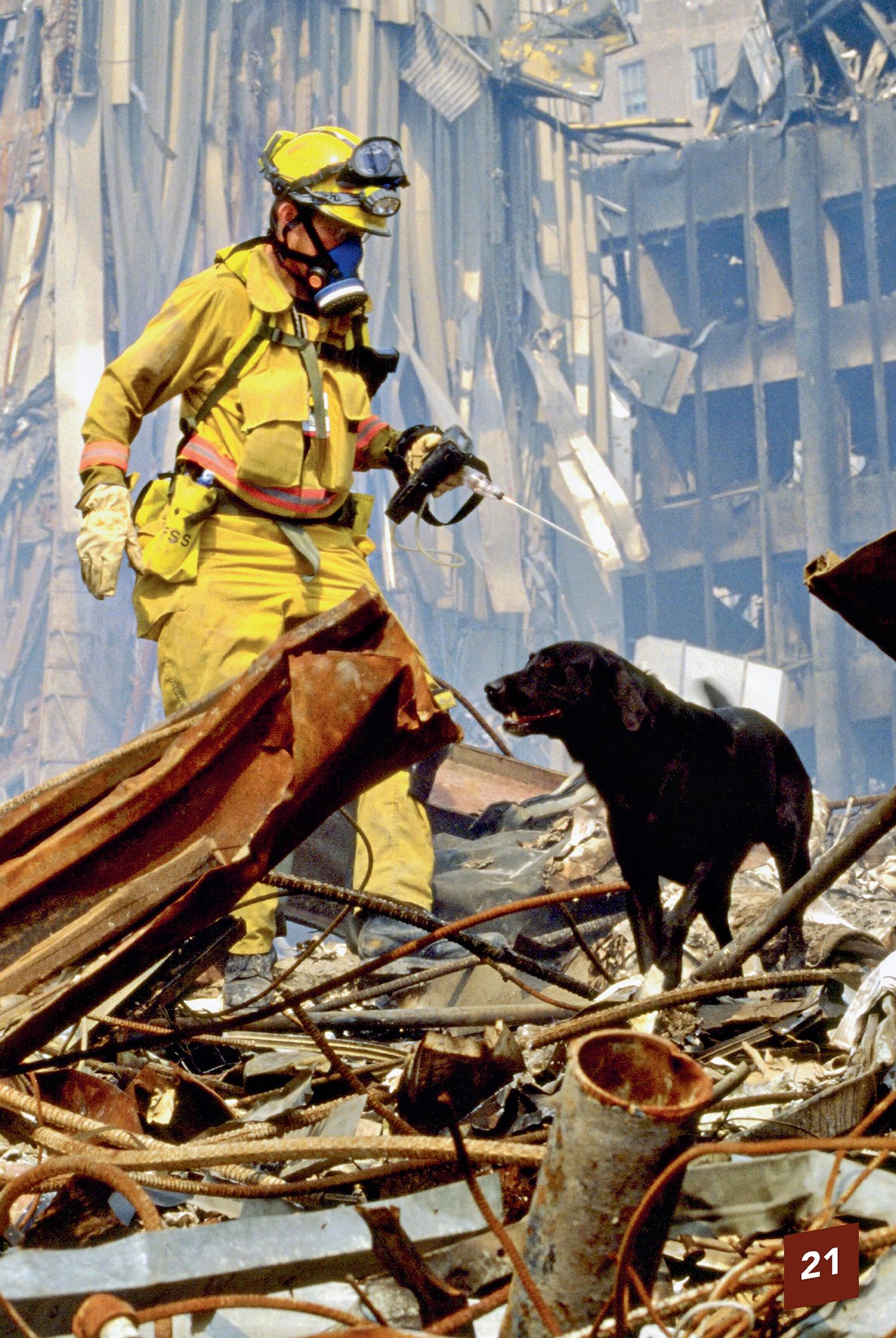 More Facts St Bernards were the first search-and-rescue dogs They were - photo 23