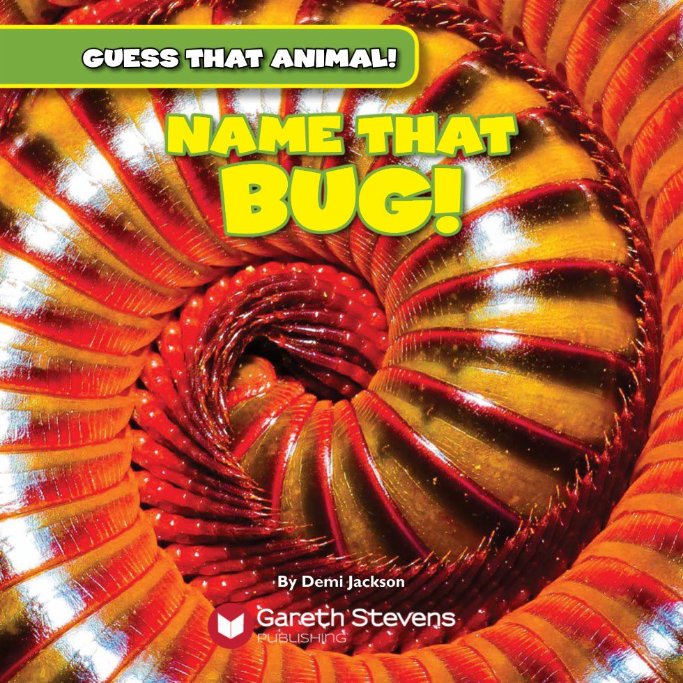 GUESS THAT ANIMAL NAME THAT BUG By Demi Jackson Please visit - photo 3