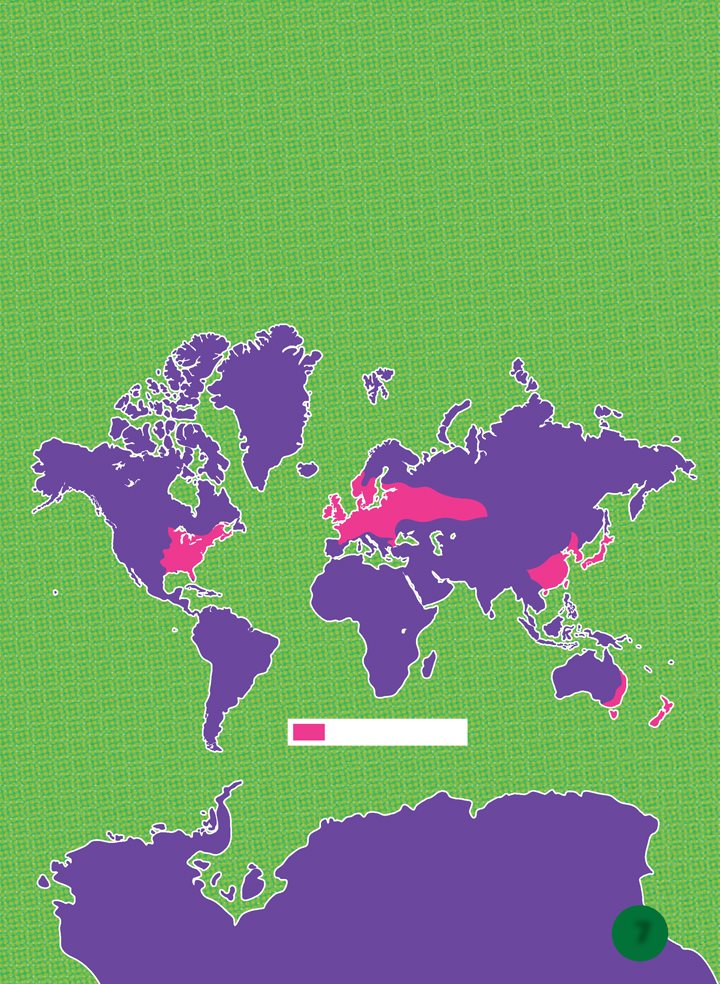 Deciduous forests are found mostly in North America Asia and Europe - photo 7