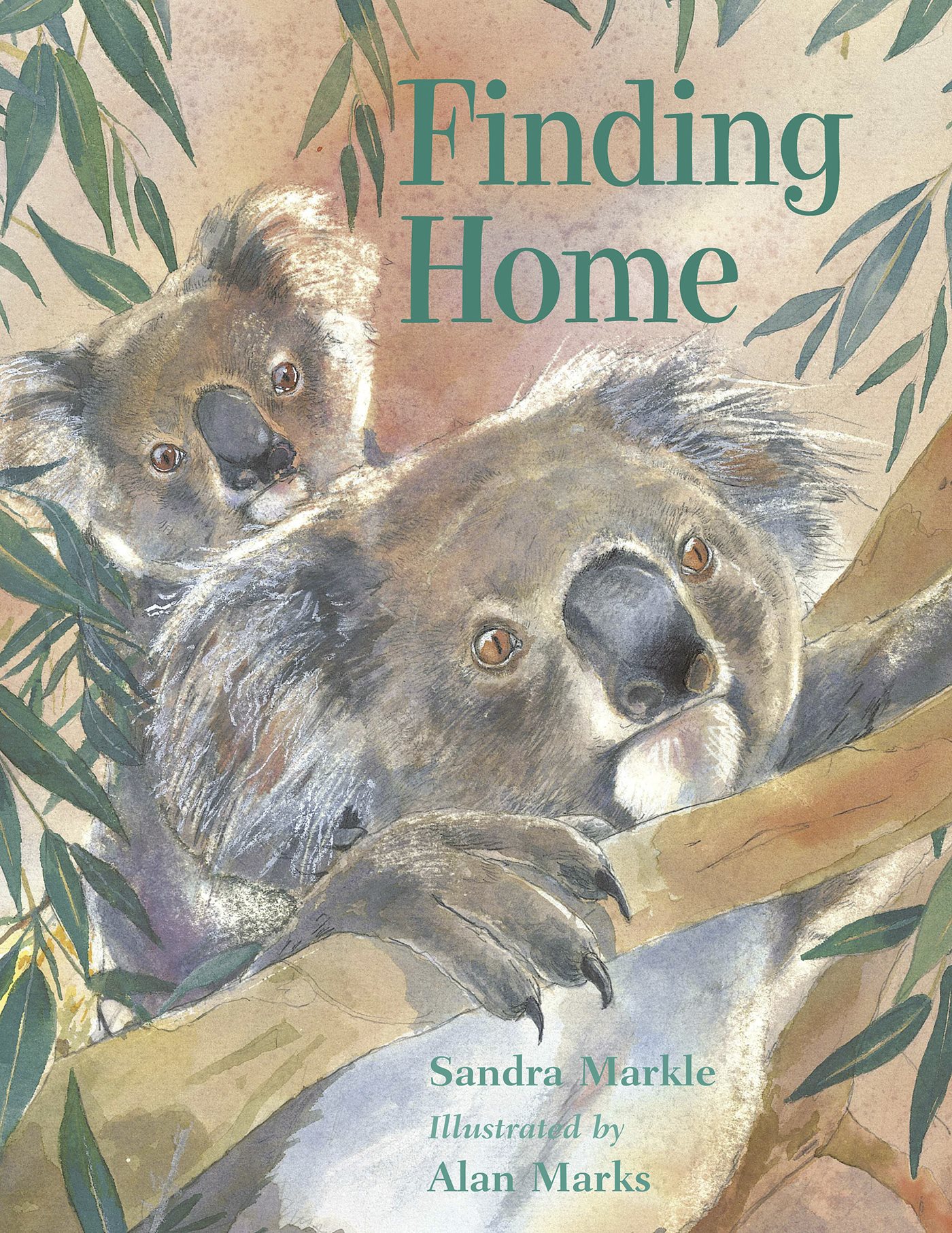 Sandra Markle Finding Home Illustrated by Alan Marks - photo 1