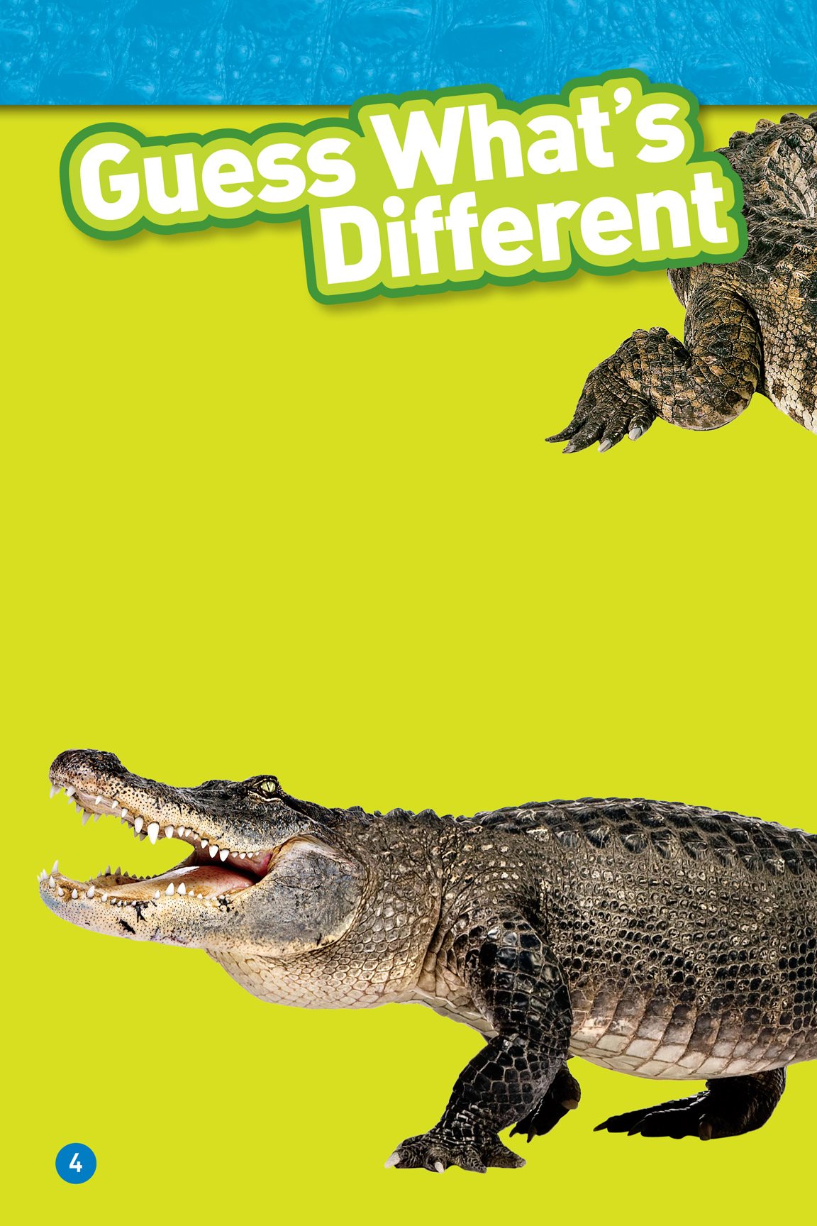 Snap What big teeth you have Crocodiles and alligators look alike They - photo 6