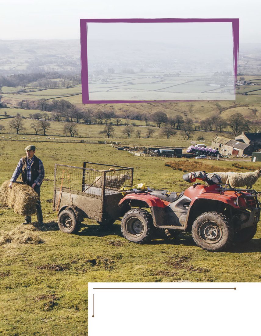 A Rugged Rambler ATVs are designed to take and survivea pounding With a - photo 11