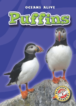 Colleen Sexton - Puffins