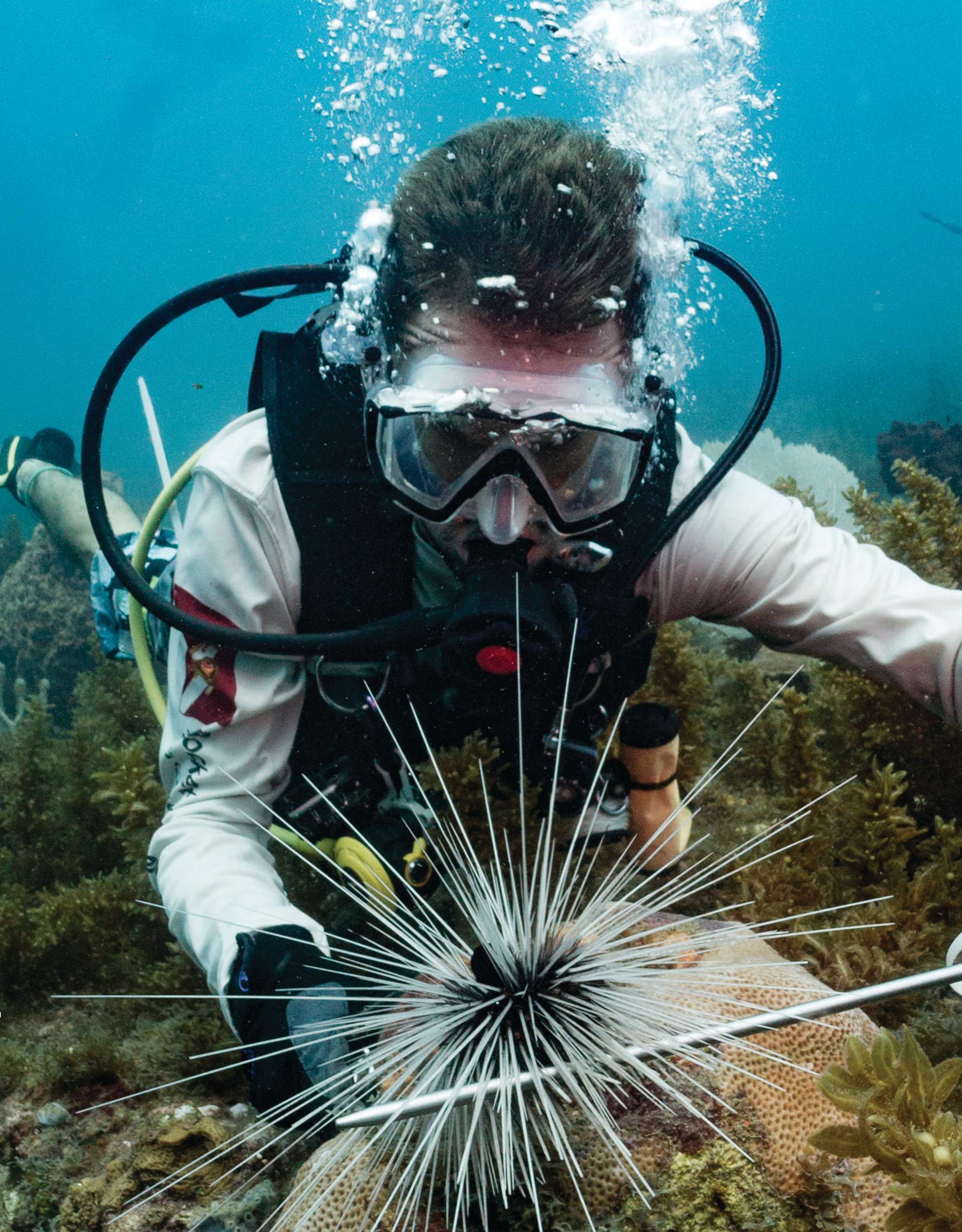 marine biologist diver scientist vets veterinarians animaltrainer - photo 28