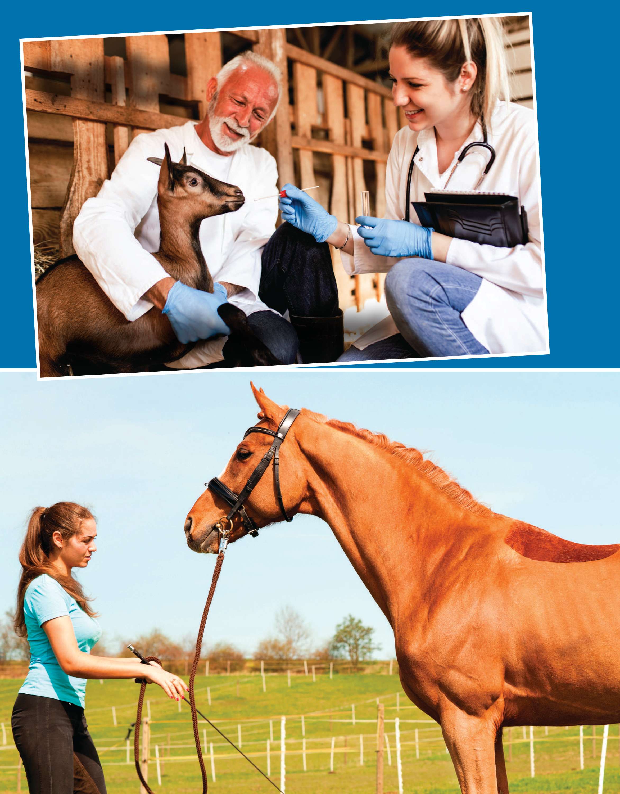 vets veterinarians animaltrainer zookeeper - photo 29