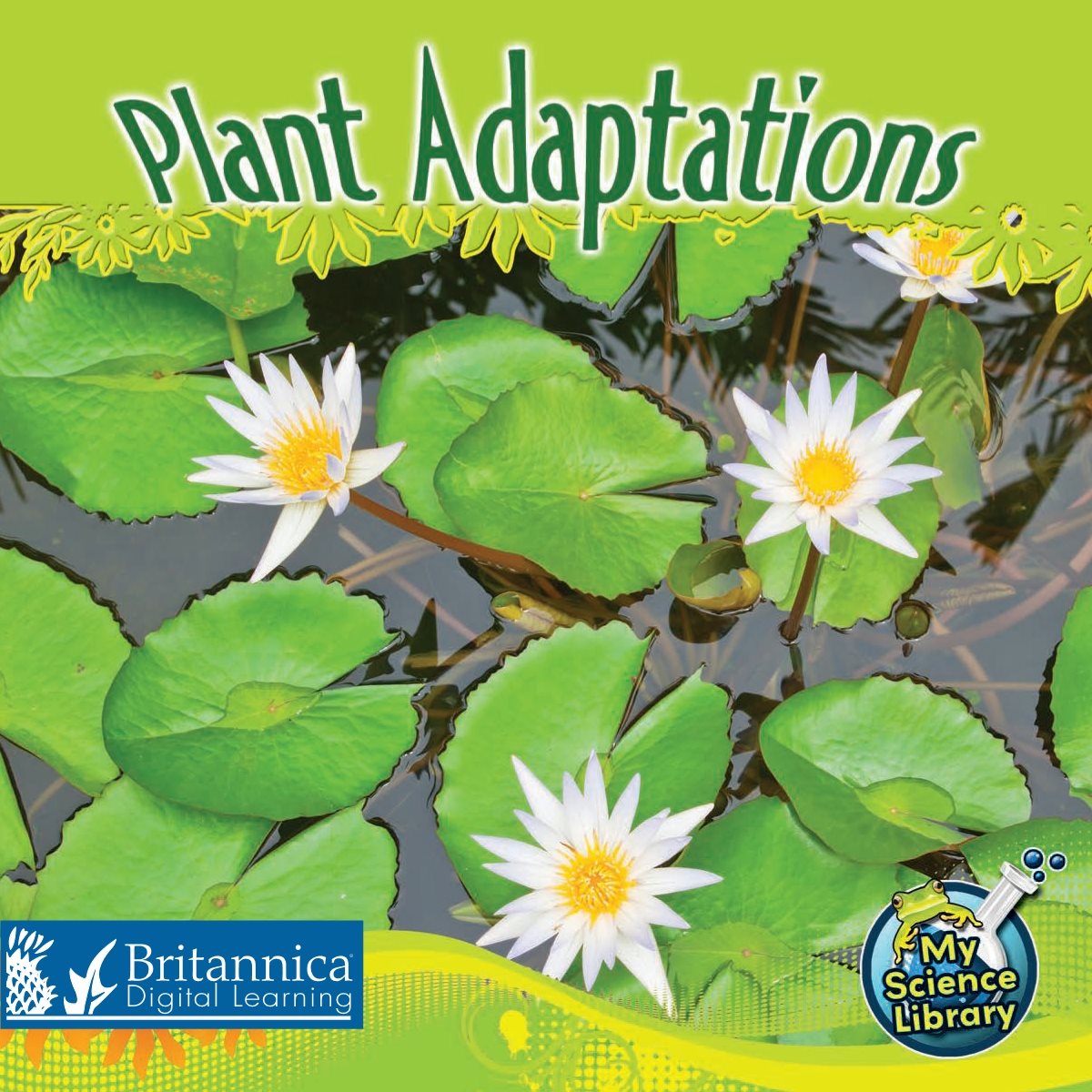 Plant Adaptations - photo 1