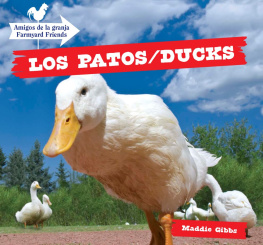 Maddie Gibbs - Los Patos / Ducks