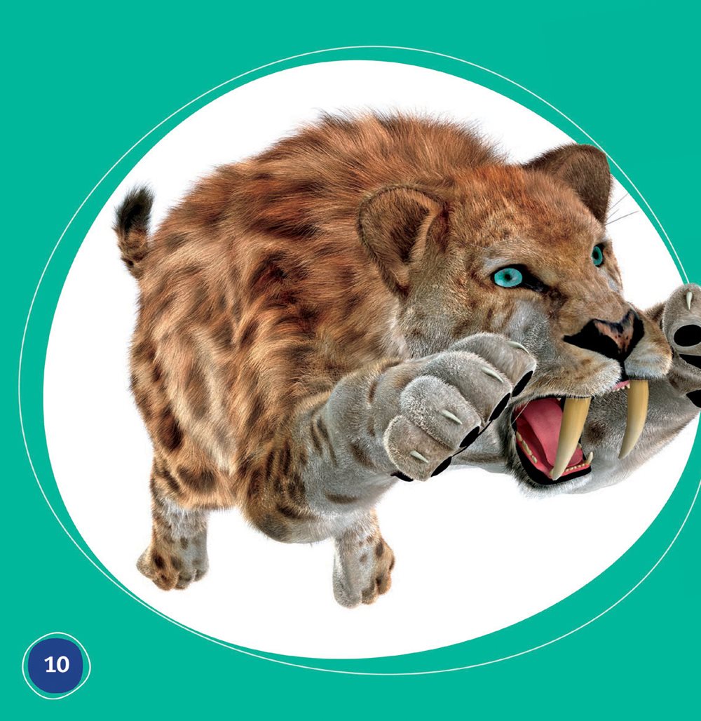 Saber- toothed cat opened its mouth wide It used its long teeth to kill - photo 10