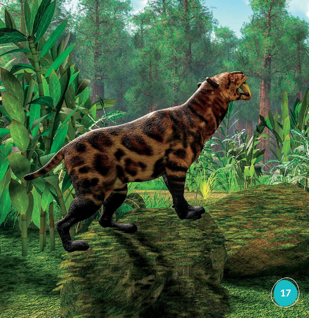 Saber- toothed cats lived in groups called packs Cats in a pack worked - photo 17