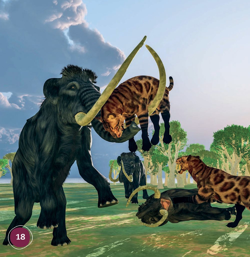 Saber- toothed cats lived in groups called packs Cats in a pack worked - photo 18