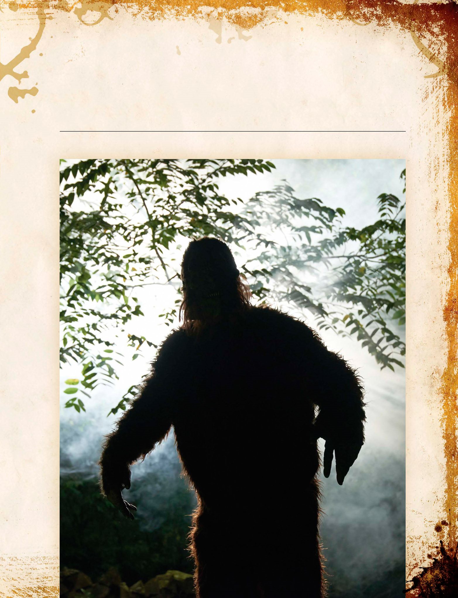 Bigfoot is the term used to describe one or many of these creatures - photo 7