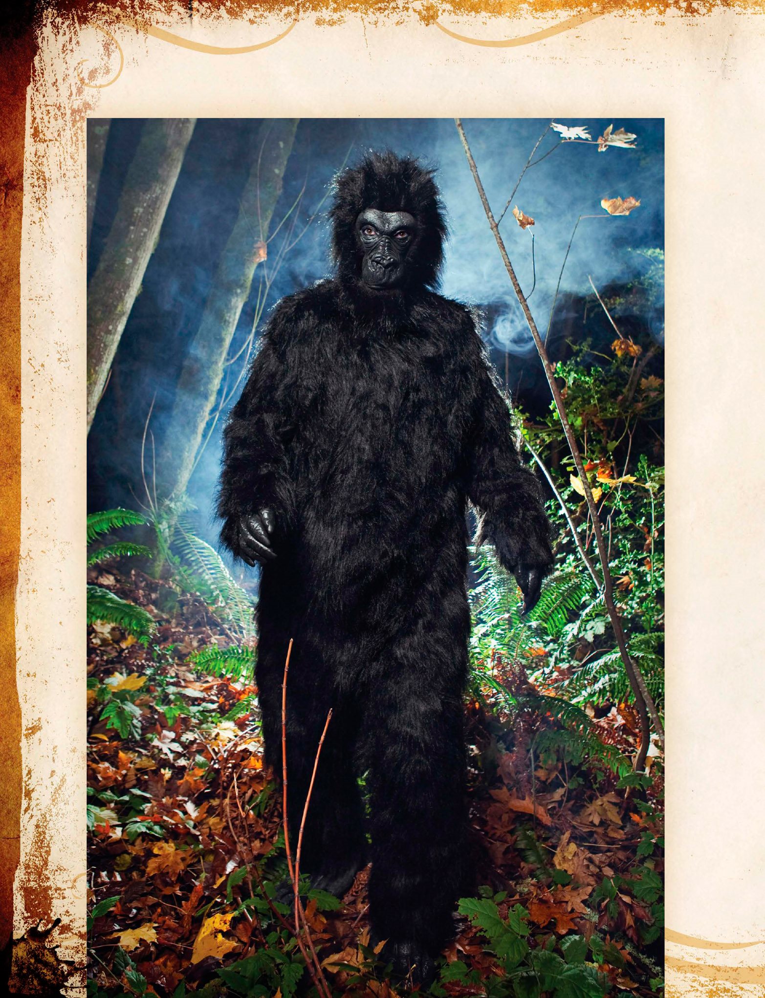 Bigfoot dont have claws Bigfoot are to feet to meters tall Theyre - photo 10