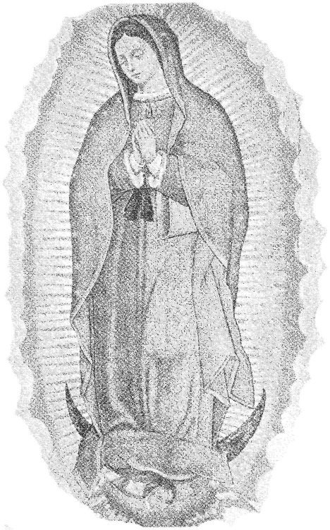 Our Lady of Guadalupe Pray for us PRAYER O UR Lady of Guadalupe - photo 2