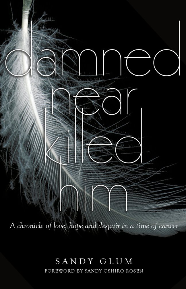 DAMNED NEAR KILLED HIM A chronicle of love hope and despair in a time of - photo 1