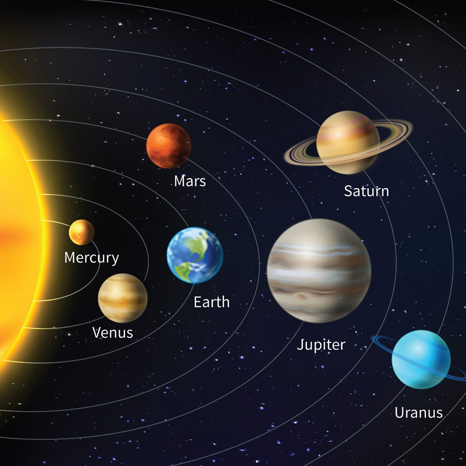 Sun Following those rules there are eight planets that orbit our - photo 6