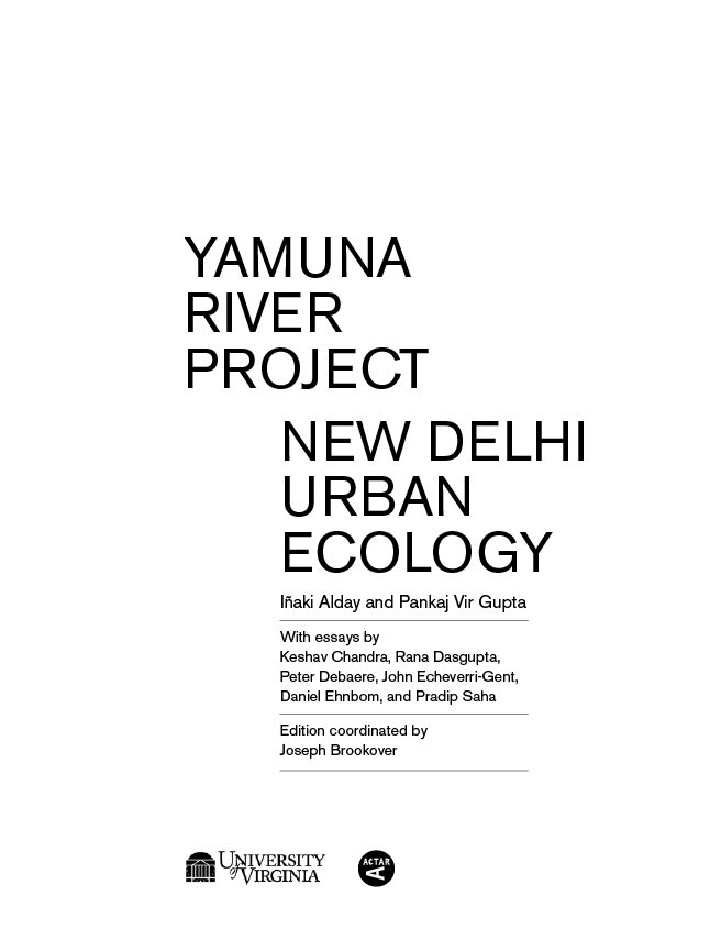 Yamuna River Project - photo 2