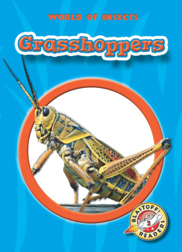 Emily K. Green - Grasshoppers