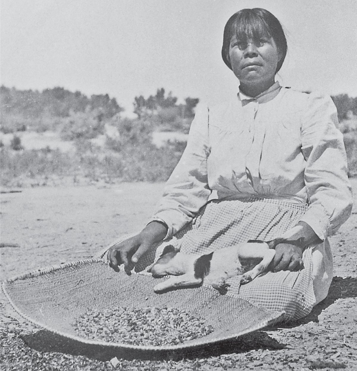 A Northern Paiute woman demonstrated in 1911 how pinyon nuts were cleaned - photo 7