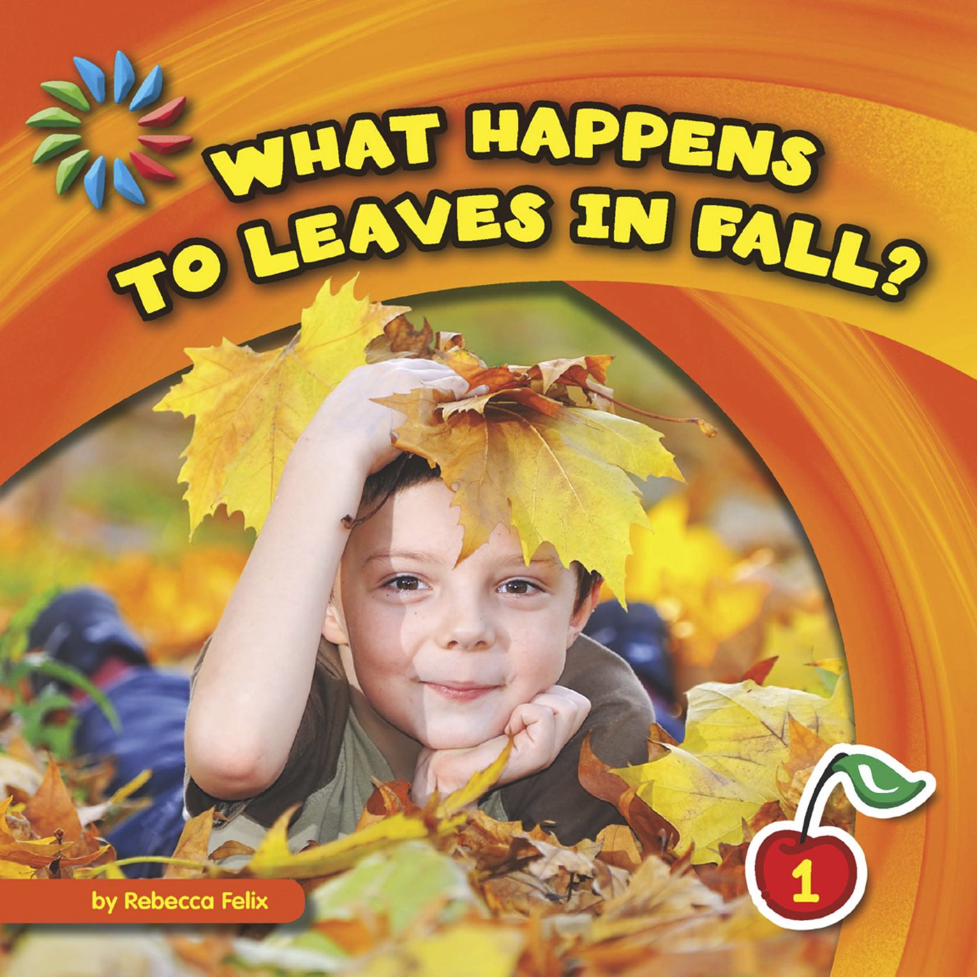 What Happens to Leaves in Fall - photo 1