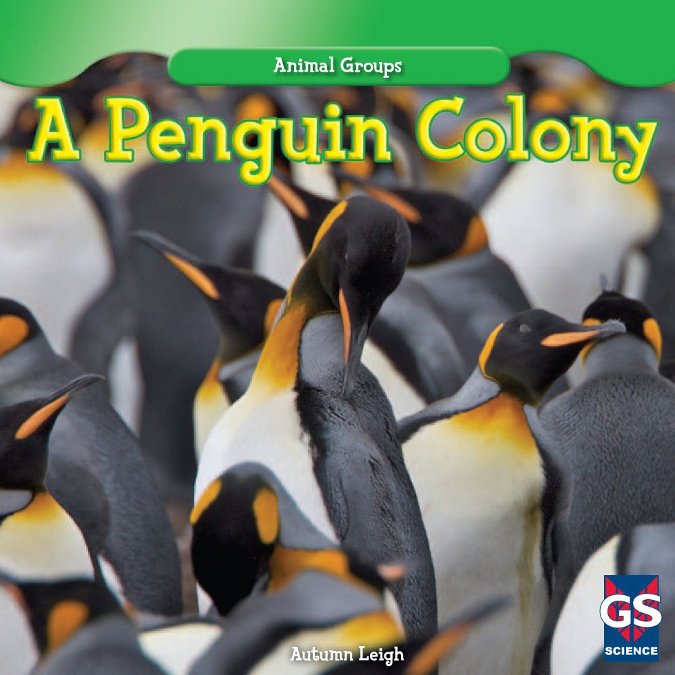 A Penguin Colony Autumn Leigh SCIENCE Animal Groups - photo 1