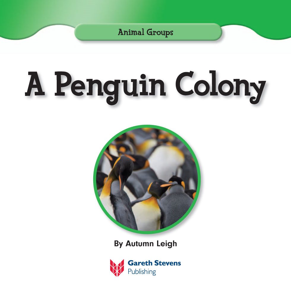 Animal Groups A Penguin Colony By Autumn Leigh Please visit our - photo 3