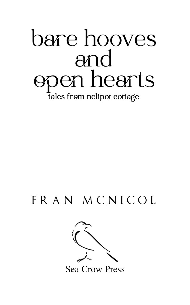 Sea Crow Press Copyright 2021 by Fran McNicol All rights reserved No part of - photo 2