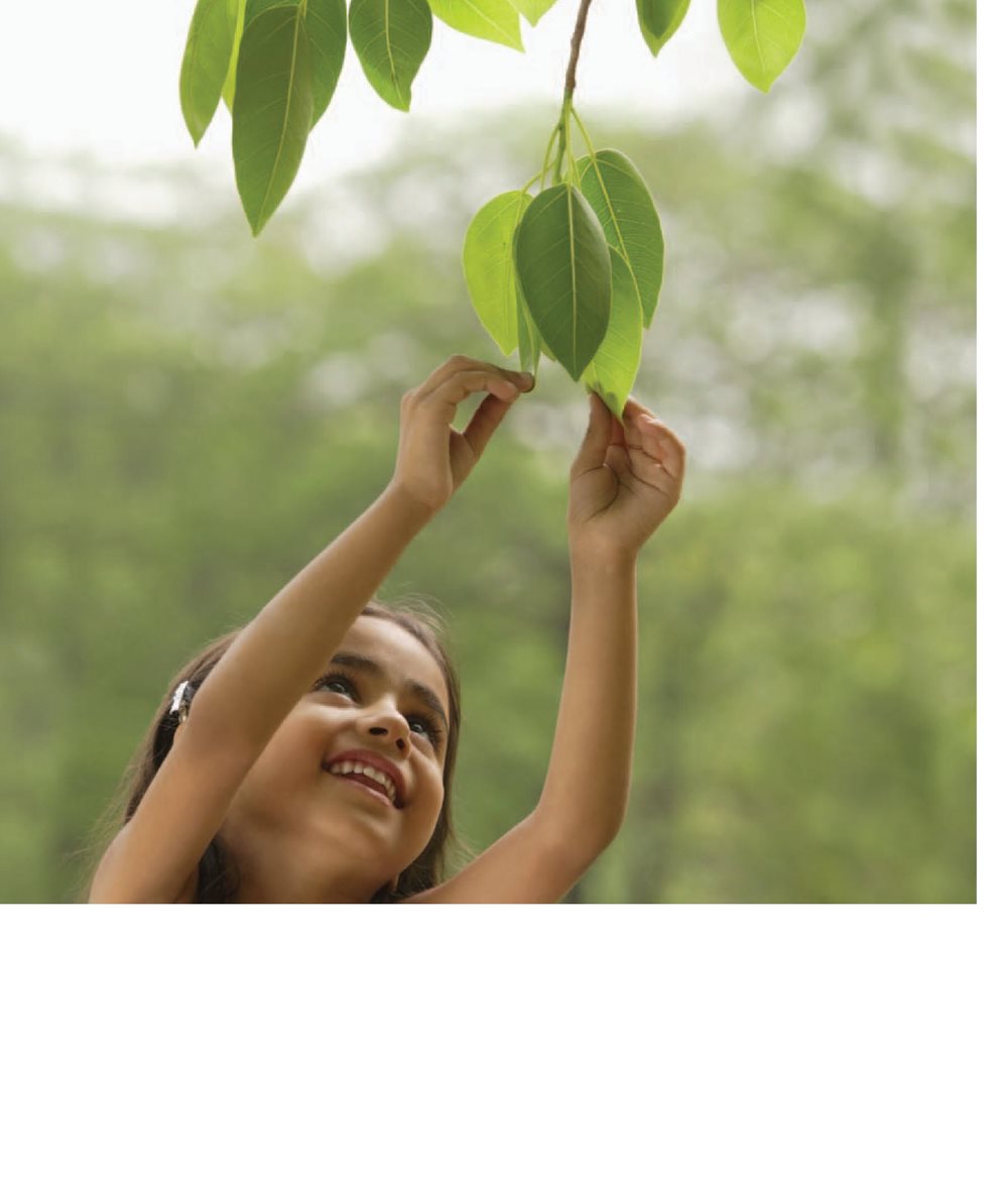 I see leaves Parts of a Plant flower bud stem leaves seedling seed - photo 4