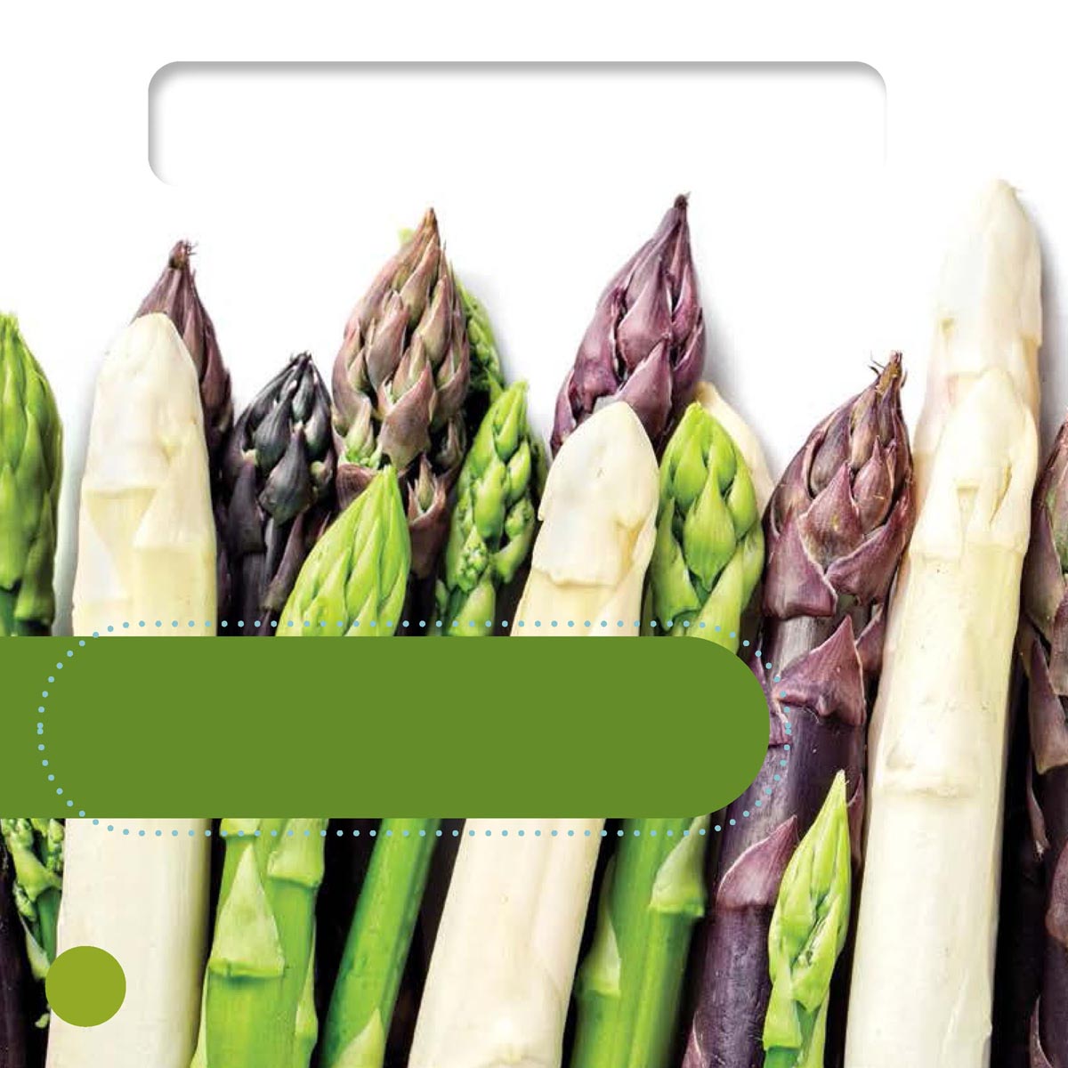 Did You Know Purple asparagus turns green when cooked Asparagus is a stem - photo 14