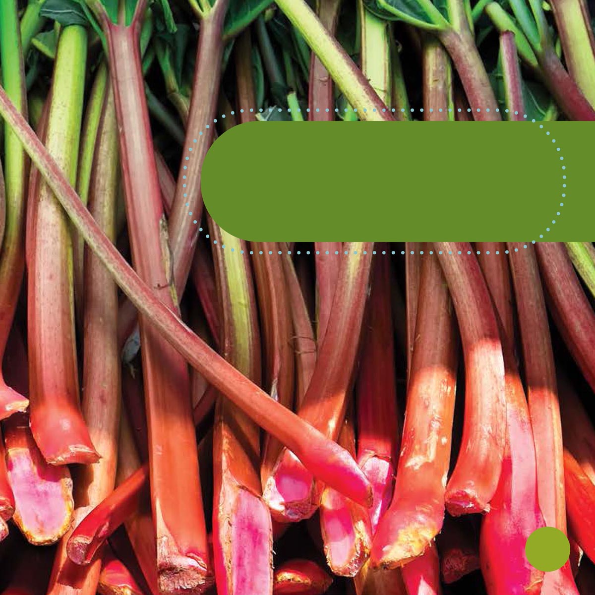 Rhubarb is a stem Rhubarb tastes very sour Usually we cook it with sugar - photo 17