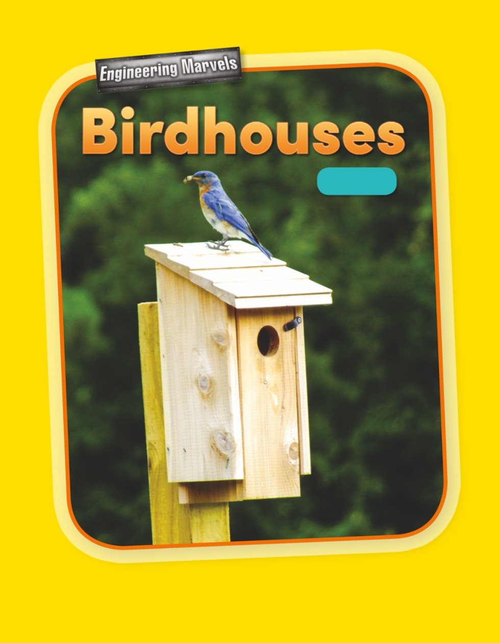 Engineering Marvels Birdhouses Shapes - photo 1