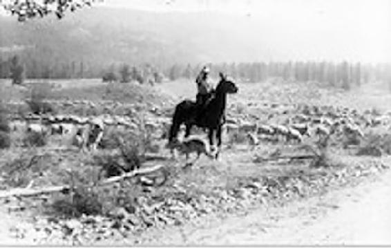 Dan Poloson L-R Bill Haynes Fay Bert Poloson Grace Poloson Fred - photo 3