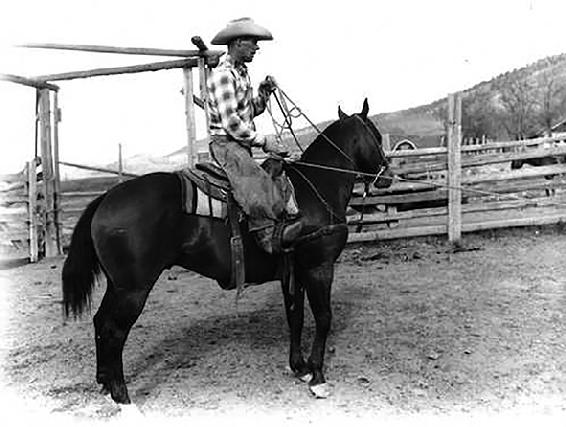 Bill roping on Jule Bar Big Bend Ranch Fay barrel racing on Jule Bar - photo 13