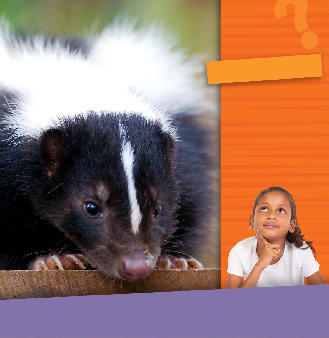 Look What features would help this skunk find worms and insects A - photo 11