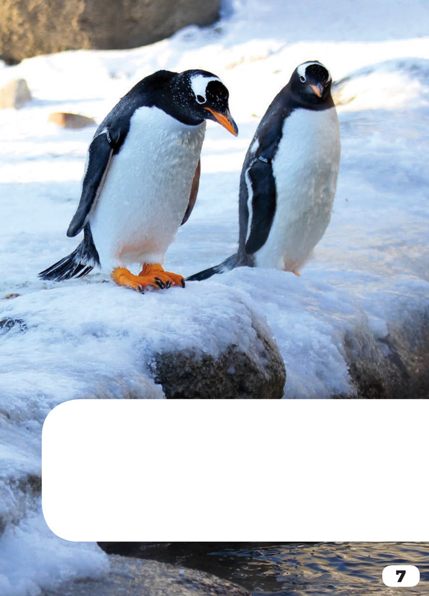 See the penguins They live near the South Pole ArialMT AvenirLTPro-Heavy - photo 9