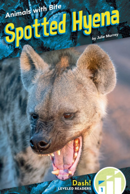 Julie Murray - Spotted Hyena