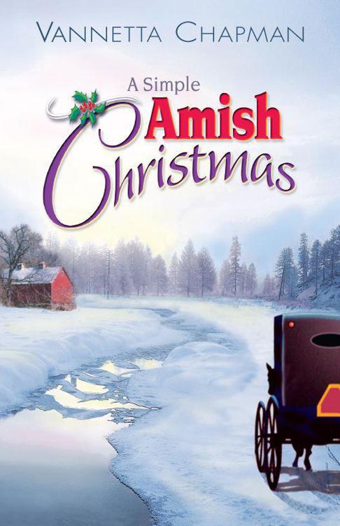 A Simple Amish ChristmasCopyright 2010 by Vannetta ChapmanISBN-13 - photo 1