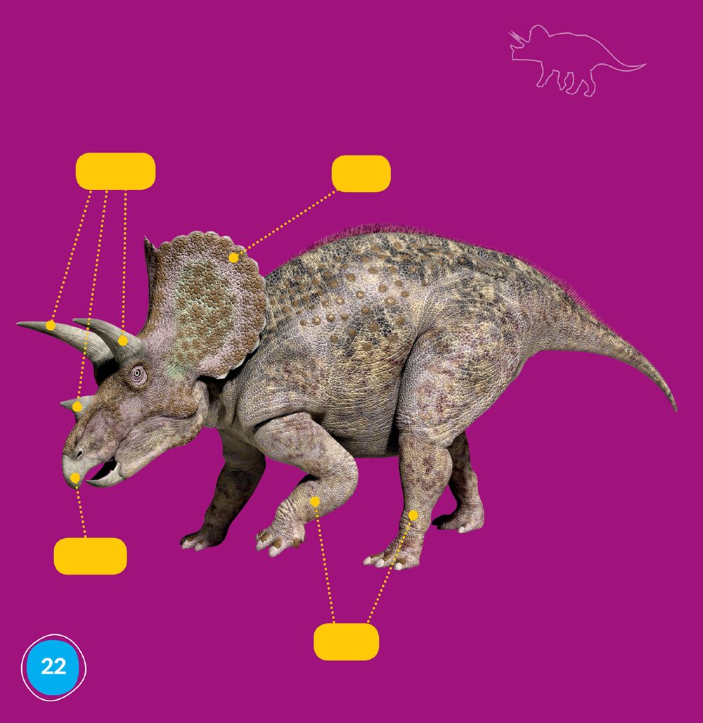 Parts of a Triceratops horns frill beak legs Picture Glossary - photo 22