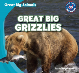 Ryan Nagelhout - Great Big Grizzlies