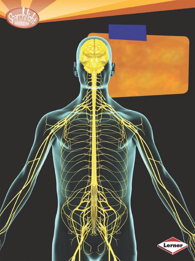 Your Nervous System Joelle Riley Copyright 2013 by Lerner Publishing - photo 1