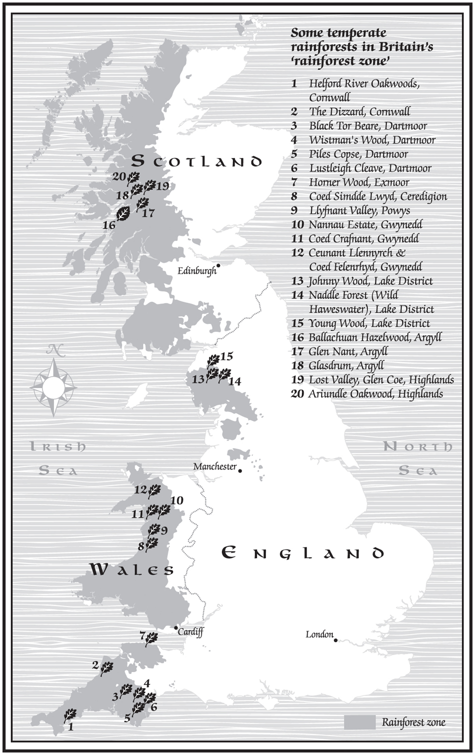 The Lost Rainforests of Britain - image 3