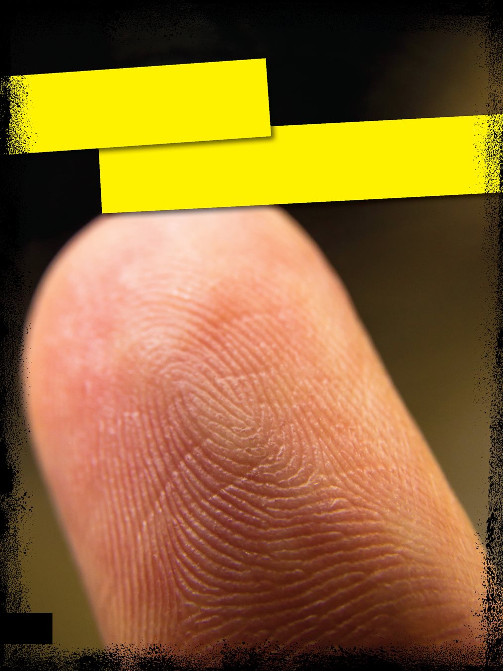 WHAT ARE FINGERPRINTS AptiferSansLTPro-Bold AptiferSansLTPro-BoldItalic - photo 6