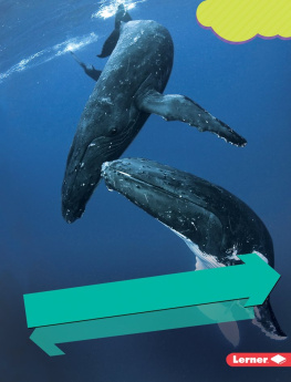 Rebecca E. Hirsch Humpback Whales: Musical Migrating Mammals
