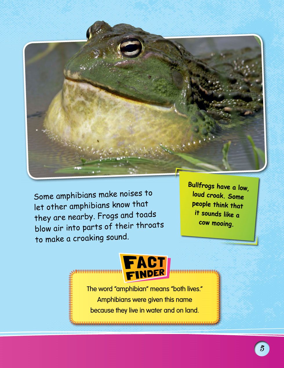 Some amphibians make noises to let other amphibians know that they are nearby - photo 7