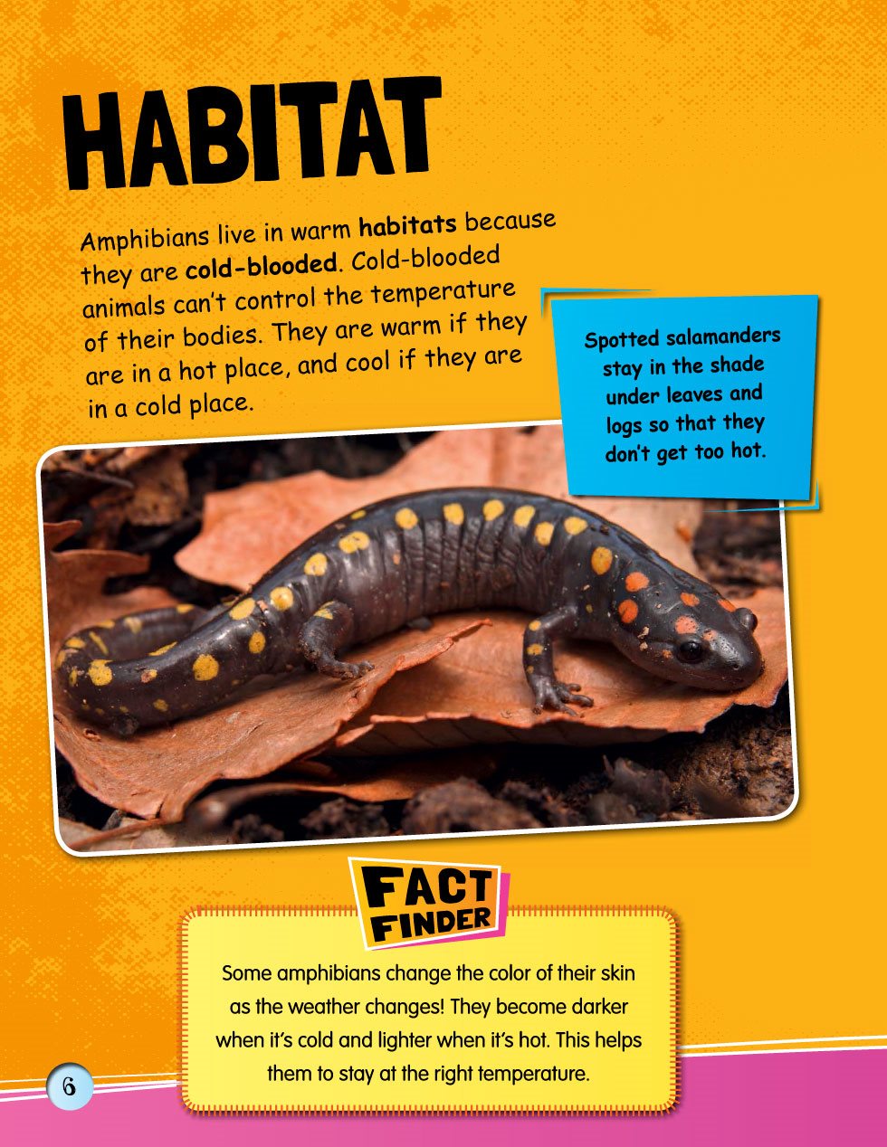 HABITAT Amphibians live in warm habitats because they are cold-blooded - photo 8