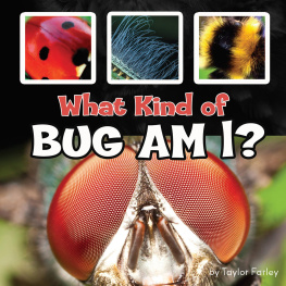 Taylor Farley - What Kind of Bug Am I?