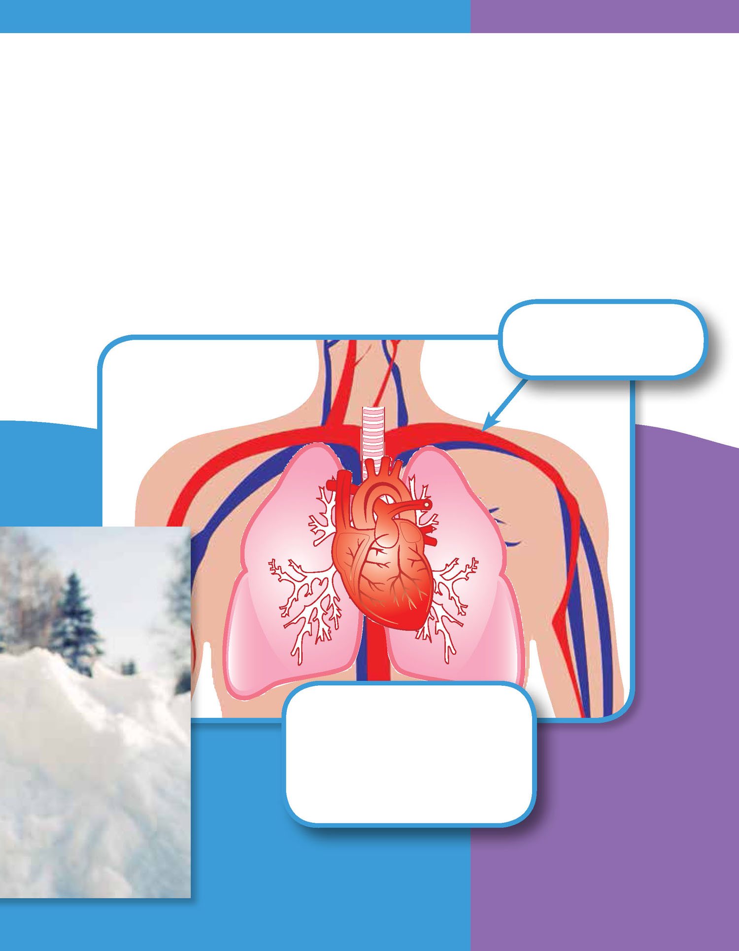 Your lungs and heart work to send the oxygen to cells all over your body The - photo 18