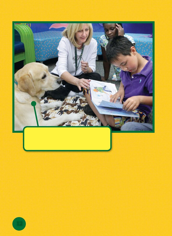 Therapy dogs are trained to sit quietly at schools Therapy dogs and their - photo 12