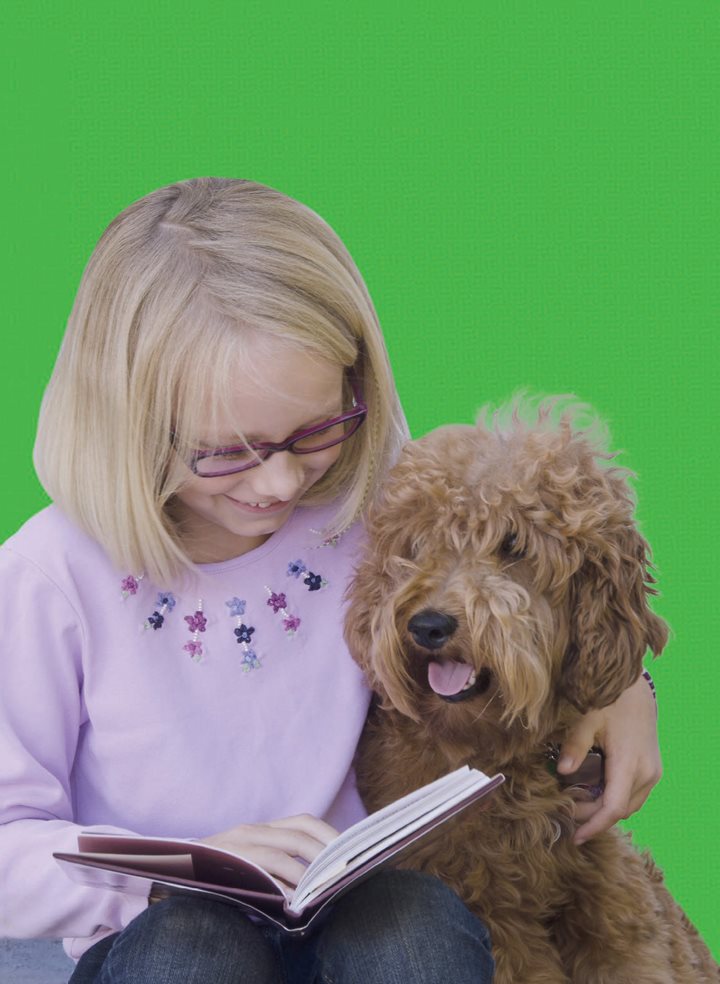 Therapy dogs are patient while students read The dogs dont laugh if - photo 13