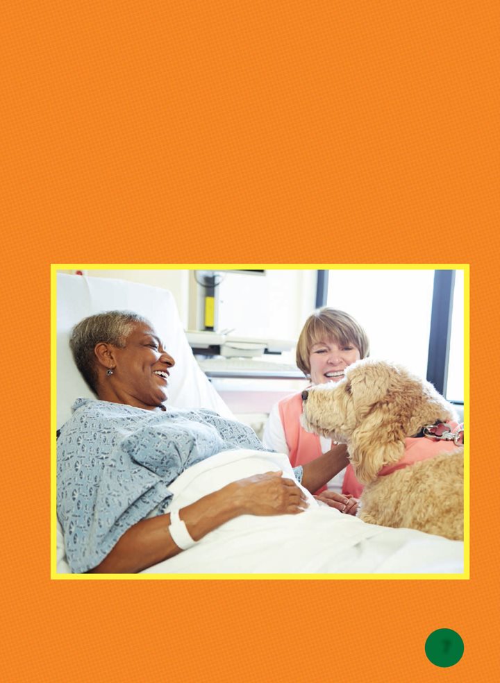 Some hospital patients have dogs at home They miss their furry friends - photo 7